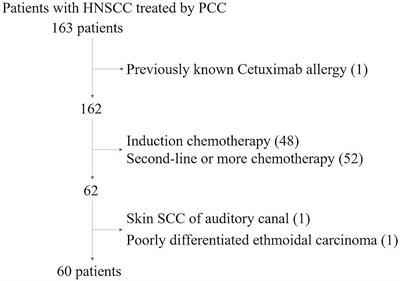 Weekly Paclitaxel, Carboplatin, and Cetuximab as First-Line Treatment of Recurrent and/or Metastatic Head and Neck Squamous Cell Carcinoma for Patients Ineligible to Cisplatin-Based Chemotherapy: A Retrospective Monocentric Study in 60 Patients